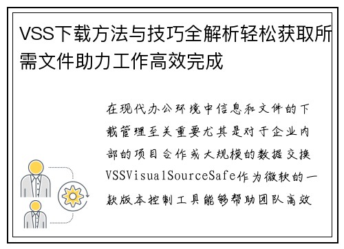 VSS下载方法与技巧全解析轻松获取所需文件助力工作高效完成